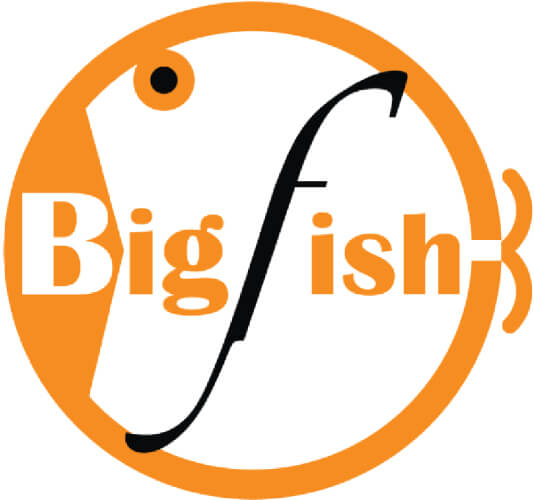 049_IDE_บิ๊กฟิช-เอ็นเตอร์ไพร์ส-logoข01