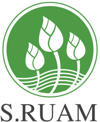 P2_056_IDE_สร่วมไทย-01